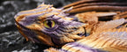 Feathered Wyvern Dragon, 3D Printed Dragon, Articulated Dragon, Fidget Dragon, 3D Printed Toys, Desktop Pet (Stormcrest)